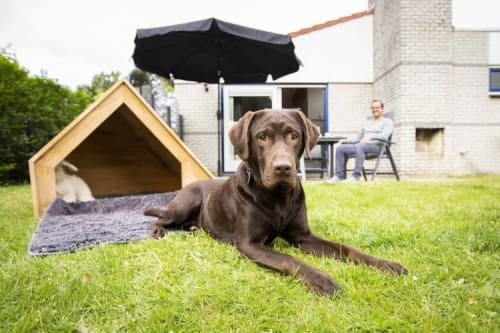 Reizen met je hond - dé reisgids